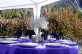 Columbia Gardens Wedding 2