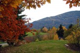 Columbia Gardens Winery View In Fall